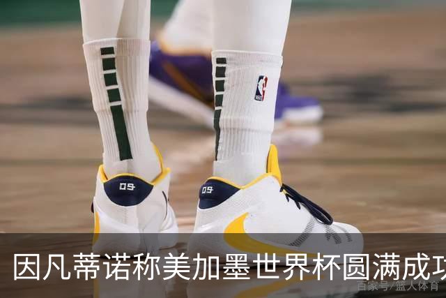 因凡蒂诺称美加墨世界杯圆满成功